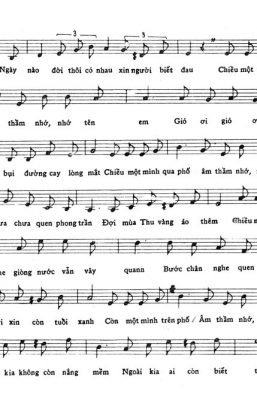 Chiều một mình qua phố